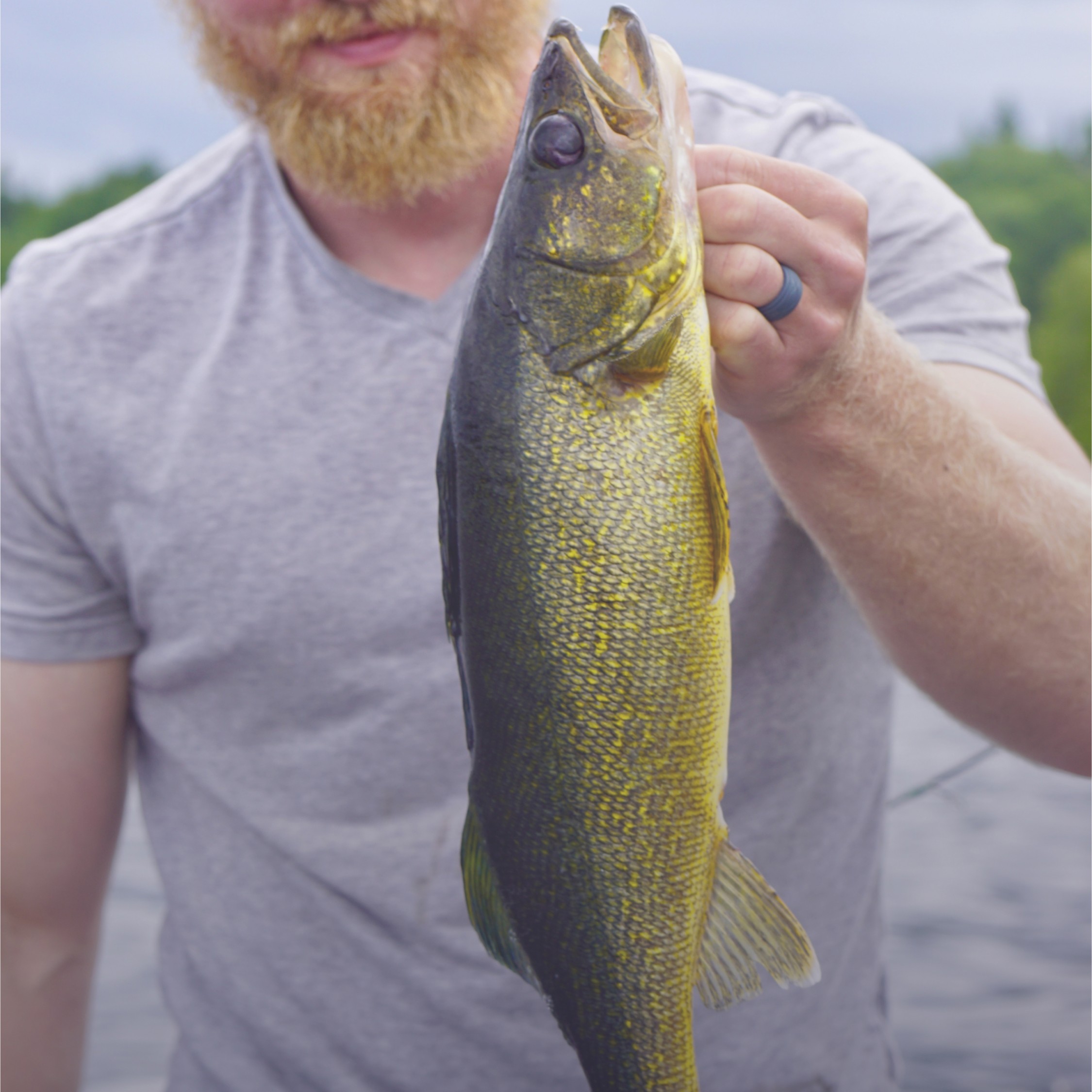 A fisherman holding a salmon